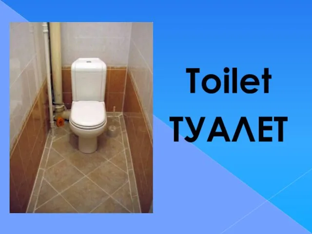Toilet ТУАЛЕТ