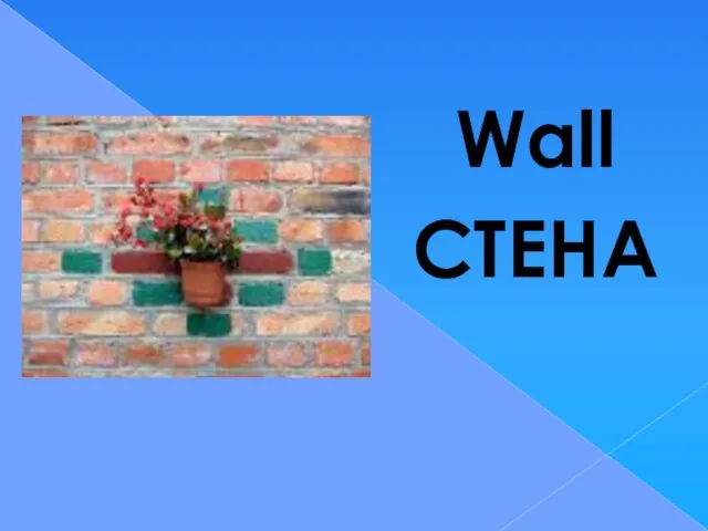 Wall СТЕНА