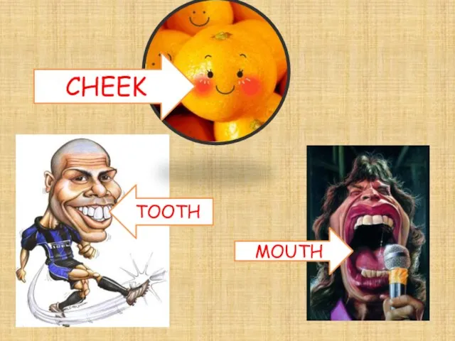 CHEEK TOOTH MOUTH