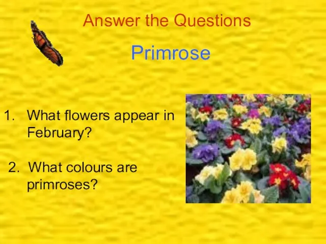 Answer the Questions Primrose What flowers appear in February? 2. What colours are primroses?