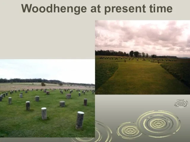 Woodhenge at present time