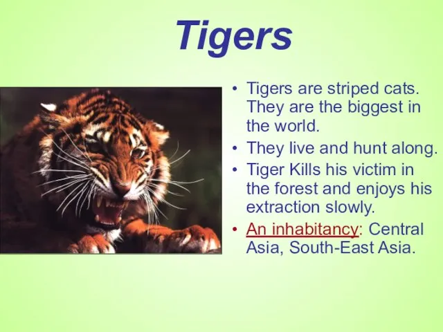 Tigers Tigers are striped cats. They are the biggest in the world.