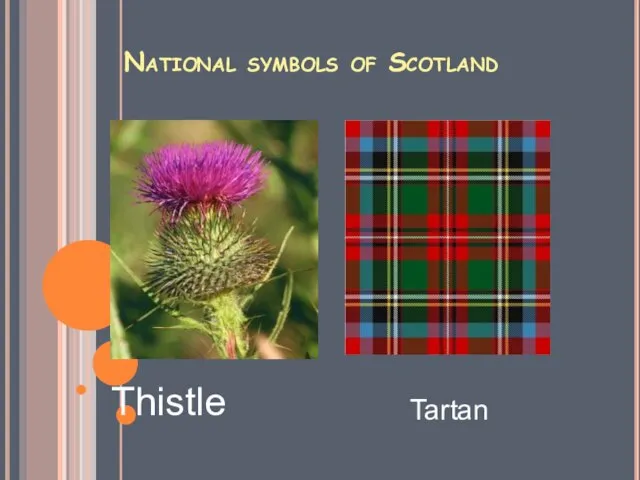 National symbols of Scotland Tartan Thistle