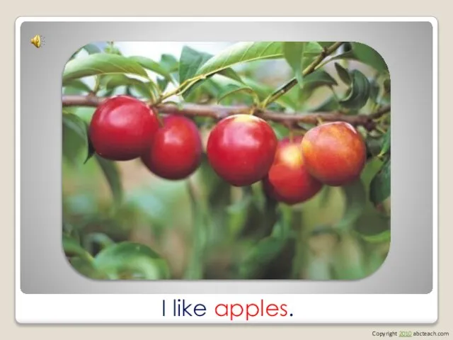 I like apples. Copyright 2010 abcteach.com