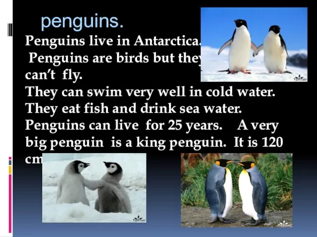 penguins. Penguins live in Antarctica. Penguins are birds but they can’t fly.