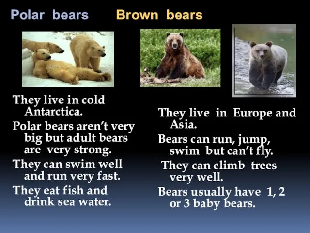 Polar bears Brown bears They live in cold Antarctica. Polar bears aren’t
