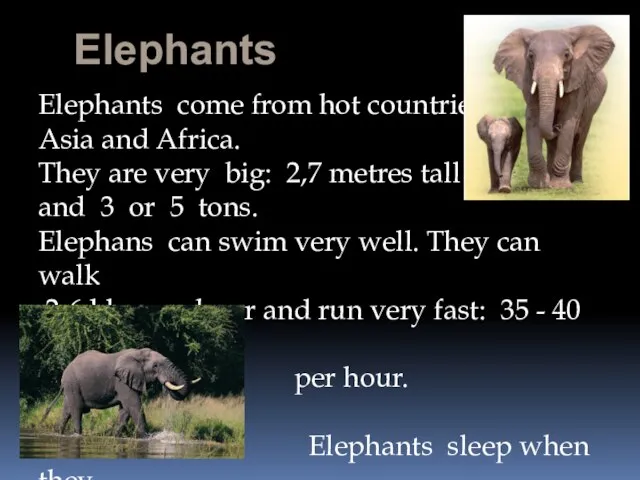 Elephants Elephants come from hot countries : Asia and Africa. They are