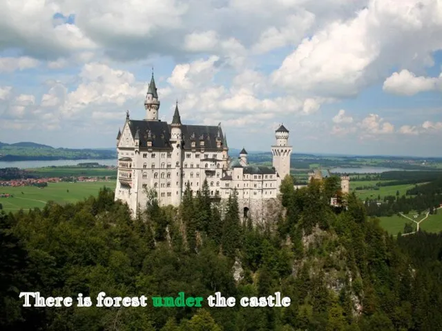 There is forest under the castle