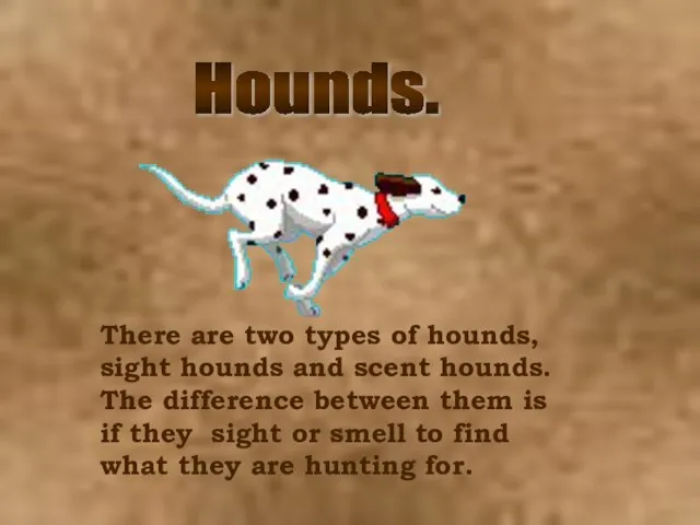 Hounds. There are two types of hounds, sight hounds and scent hounds.