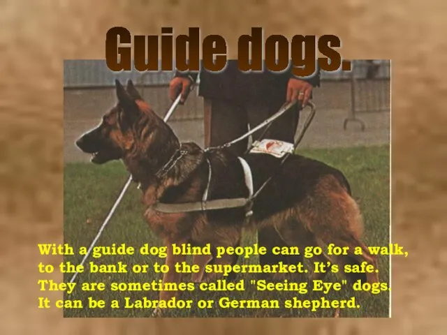 Guide dogs. With a guide dog blind people can go for a