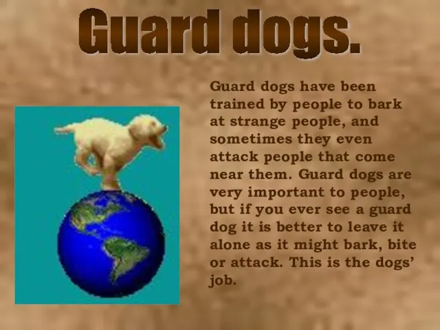 Guard dogs have been trained by people to bark at strange people,