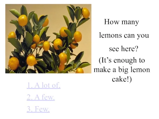 How many lemons can you see here? 1. A lot of. 2.