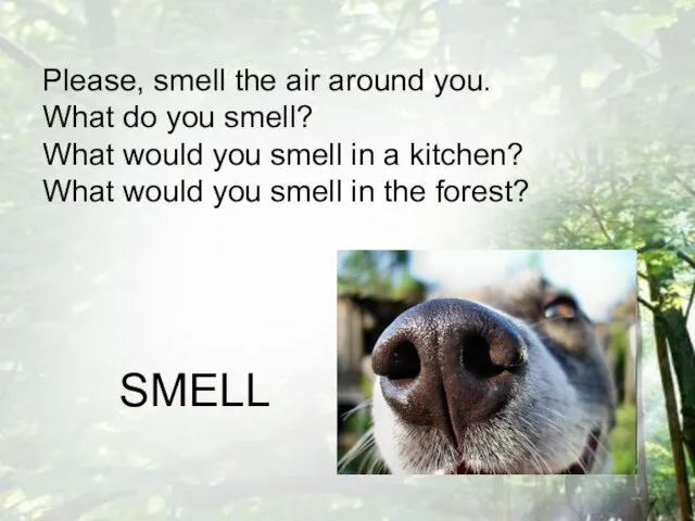 Please, smell the air around you. What do you smell? What would