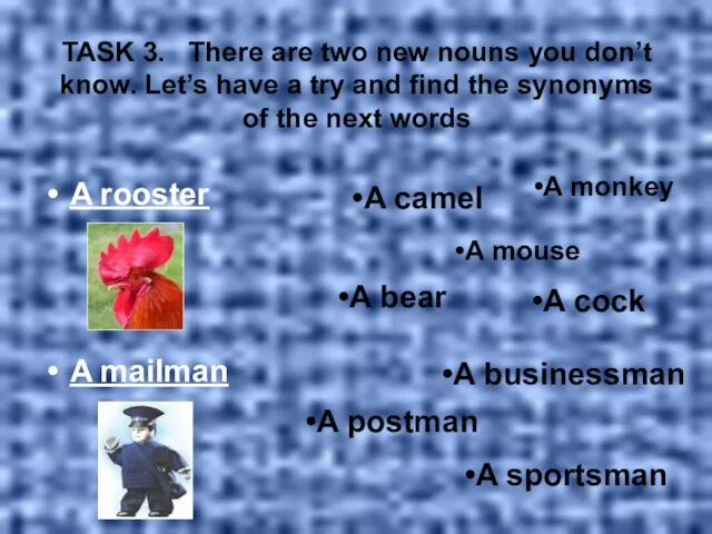 TASK 3. There are two new nouns you don’t know. Let’s have