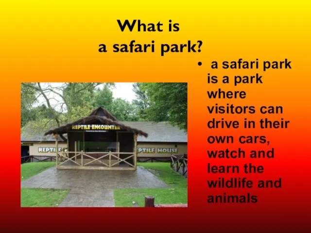 What is a safari park? a safari park is a park where