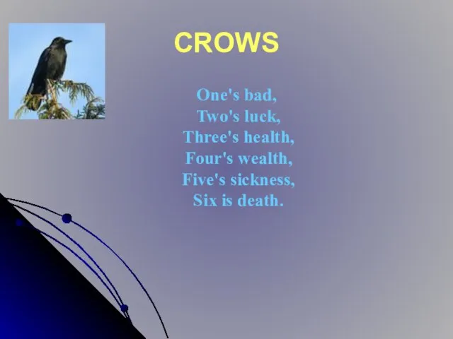 CROWS