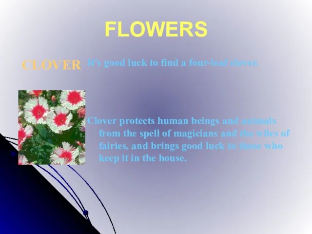 FLOWERS