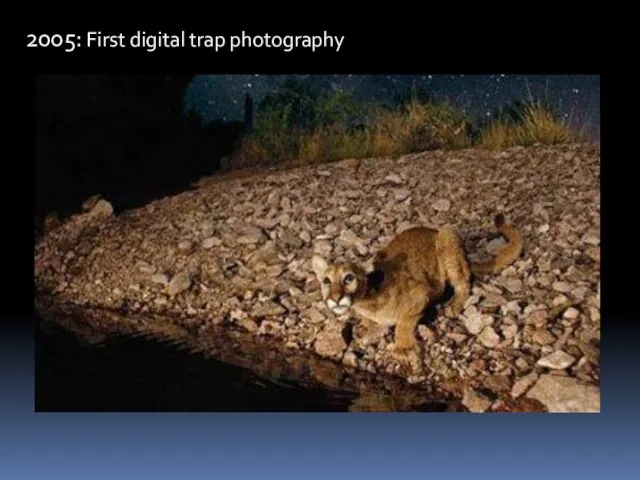 2005: First digital trap photography