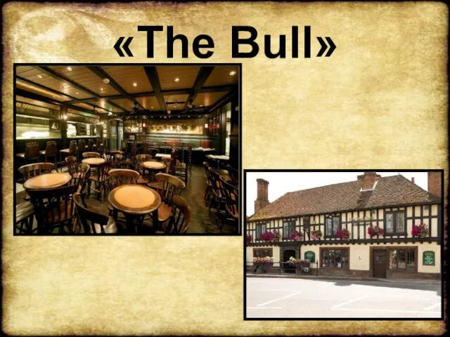 «The Bull»