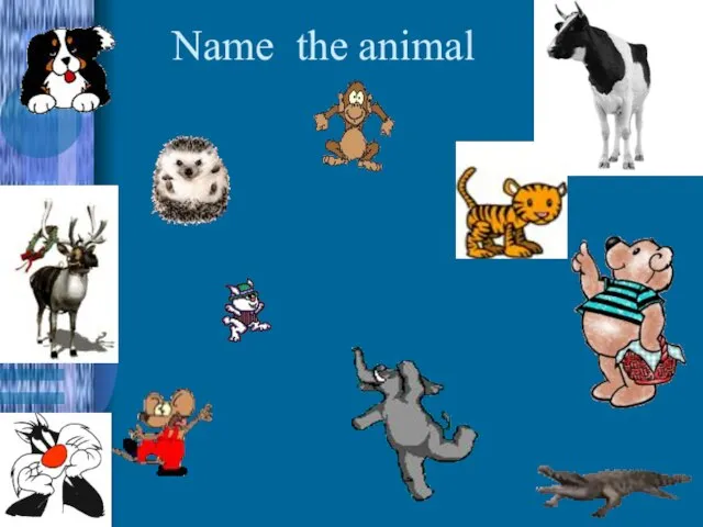 Name the animal