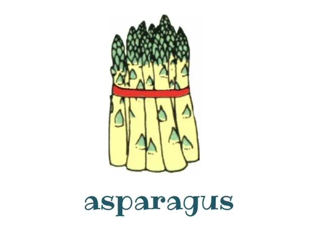 asparagus