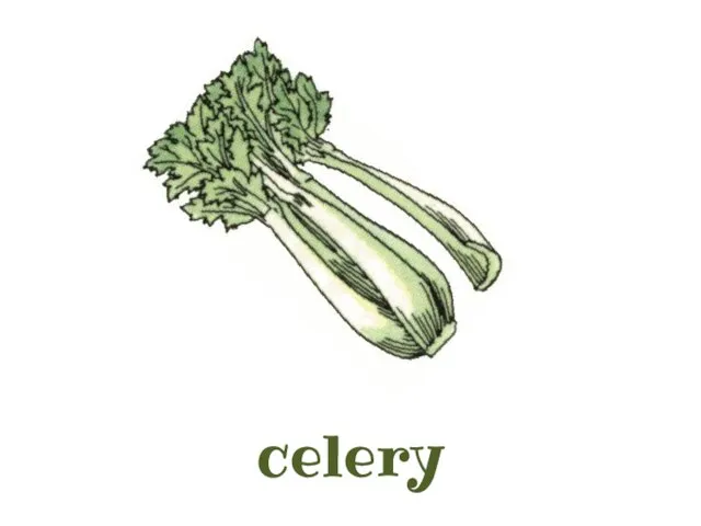 celery