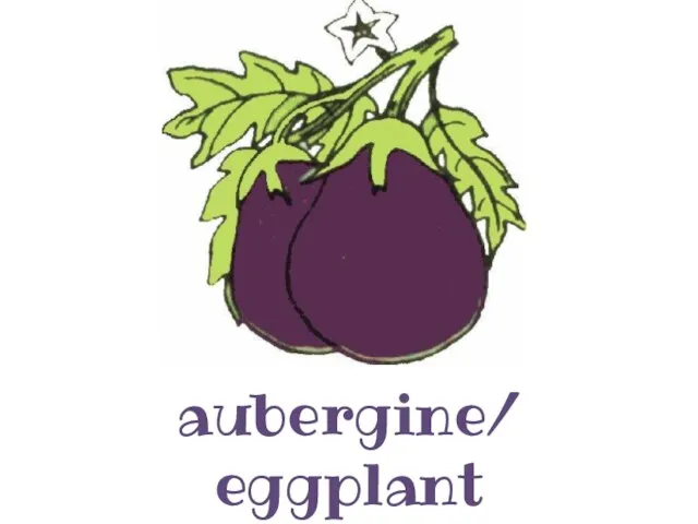 aubergine/ eggplant