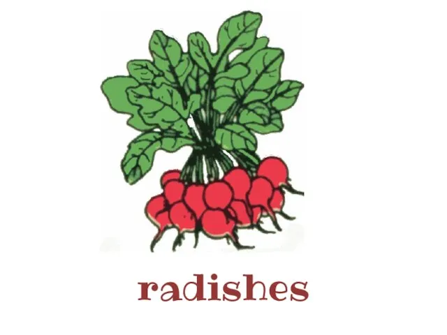 radishes