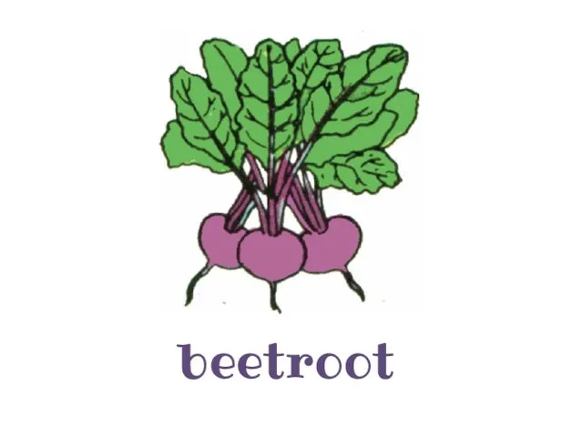 beetroot