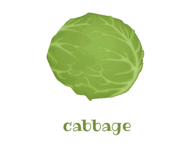 cabbage