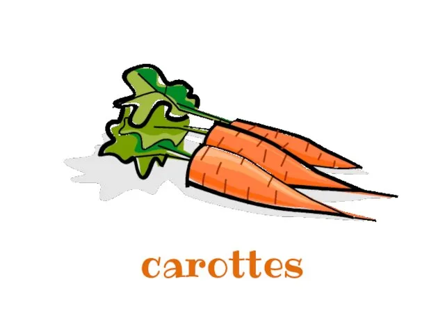 carottes