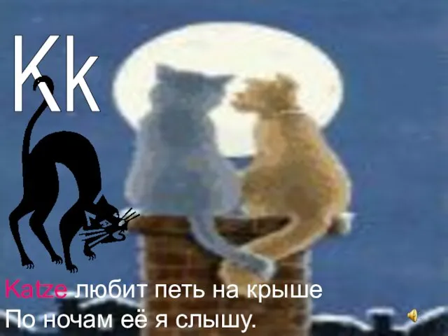 Katze любит петь на крыше По ночам её я слышу. Kk