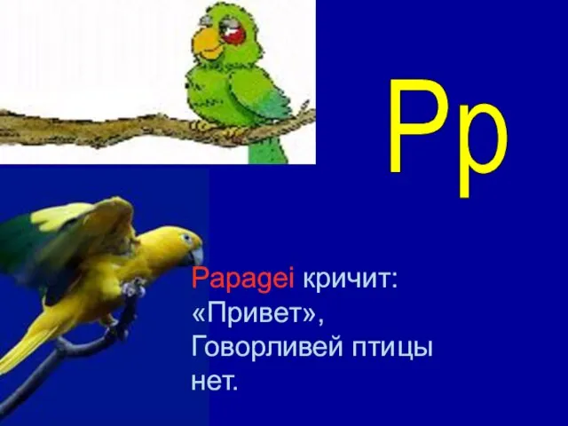 Papagei кричит: «Привет», Говорливей птицы нет. Pp