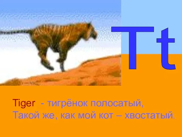 Tt Tiger - тигрёнок полосатый, Такой же, как мой кот – хвостатый.