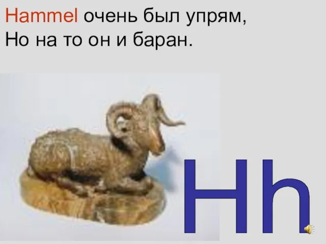 Hammel очень был упрям, Но на то он и баран. Hh