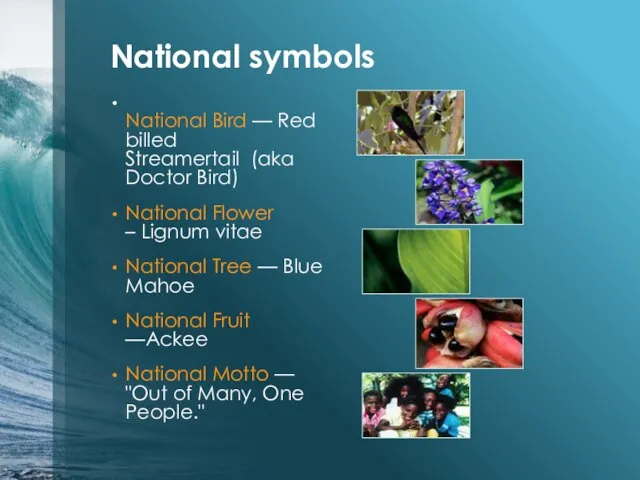 National symbols National Bird — Red billed Streamertail (aka Doctor Bird) National