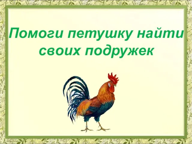 Помоги петушку найти своих подружек