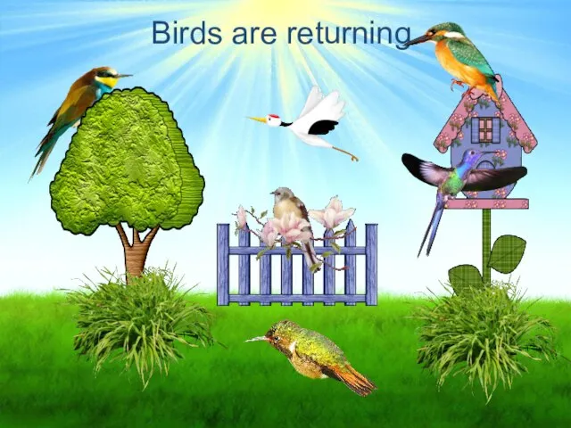 Birds are returning.