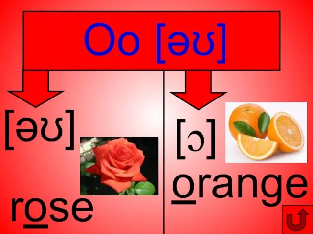 Oo [әʊ] orange [ɔ] [әʊ] rose