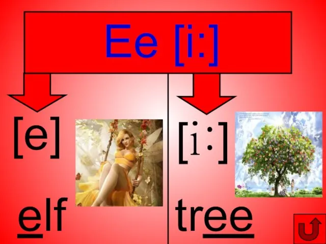 Ee [i:] [e] elf [i:] tree