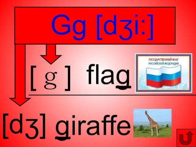 [dʒ] [ｇ] Gg [dʒi:] flag giraffe