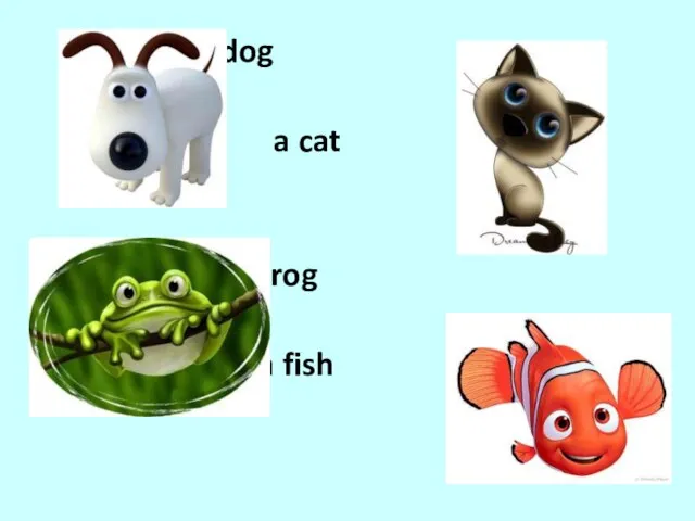 a dog a cat a frog a fish