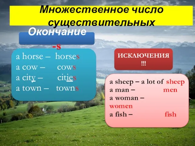 Множественное число существительных a horse – horses a cow – cows a