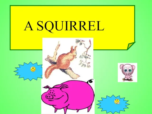 A SQUIRREL