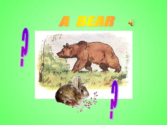 A BEAR ? ?
