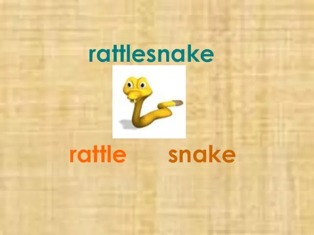 rattlesnake rattle snake