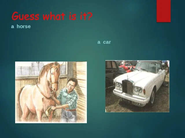 Guess what is it? a horse a car