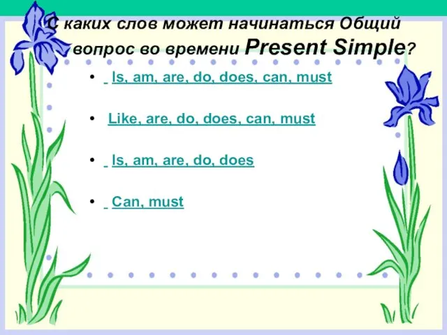 С каких слов может начинаться Общий вопрос во времени Present Simple? Is,