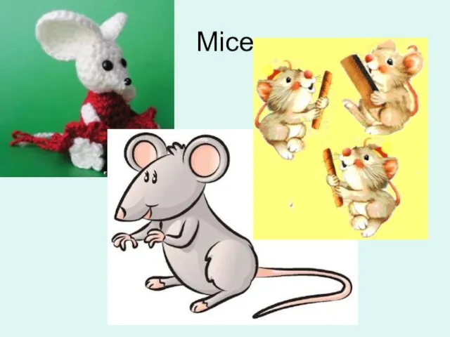 Mice