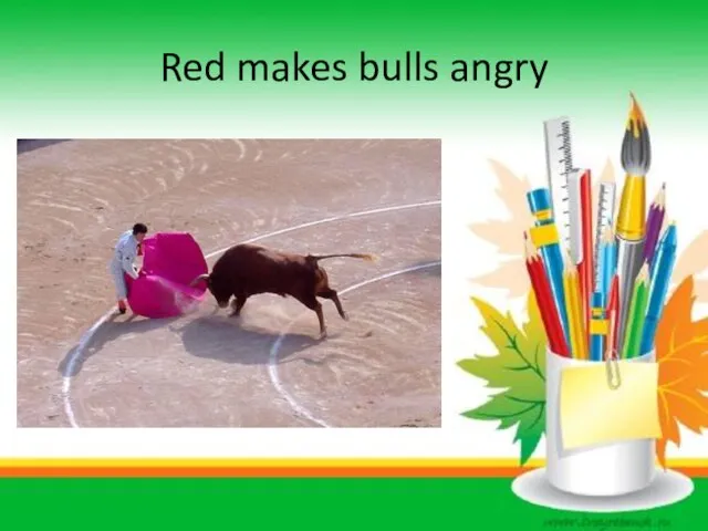 Red makes bulls angry